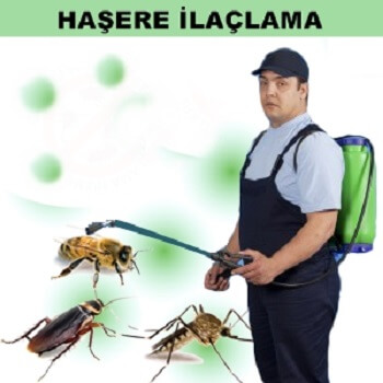 Şavşat Böcek İlaçlama